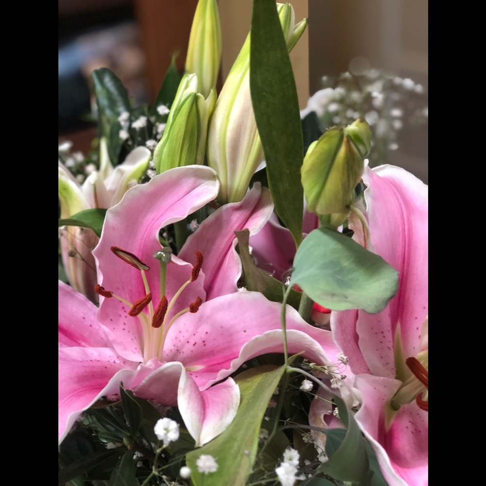 Meet your Posher, Maria